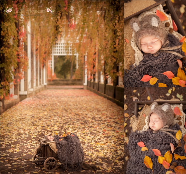 2016-11-30_0007 Kopie