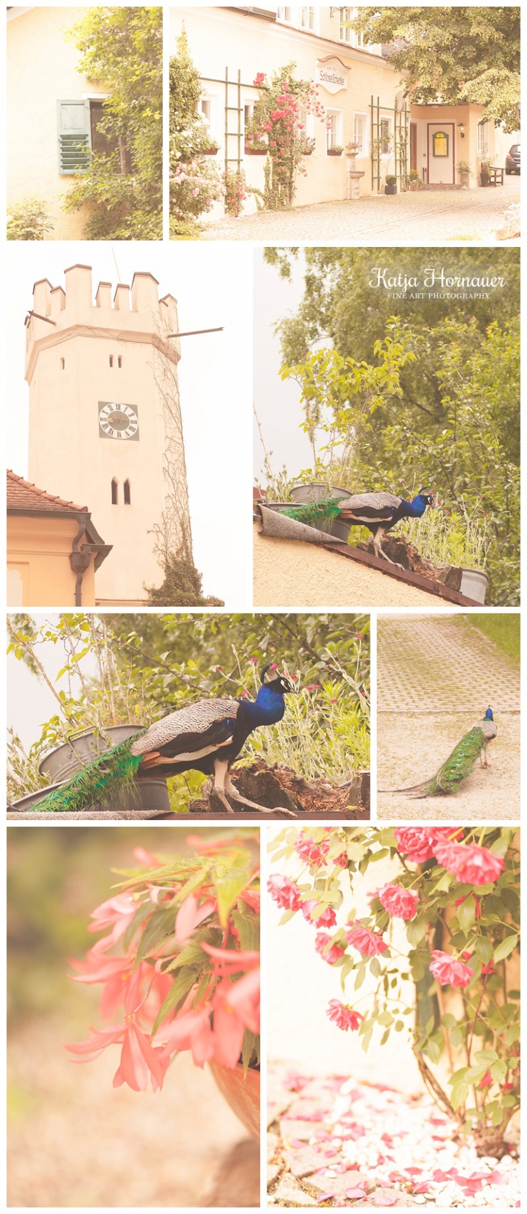 2015-06-21_0002 Kopie