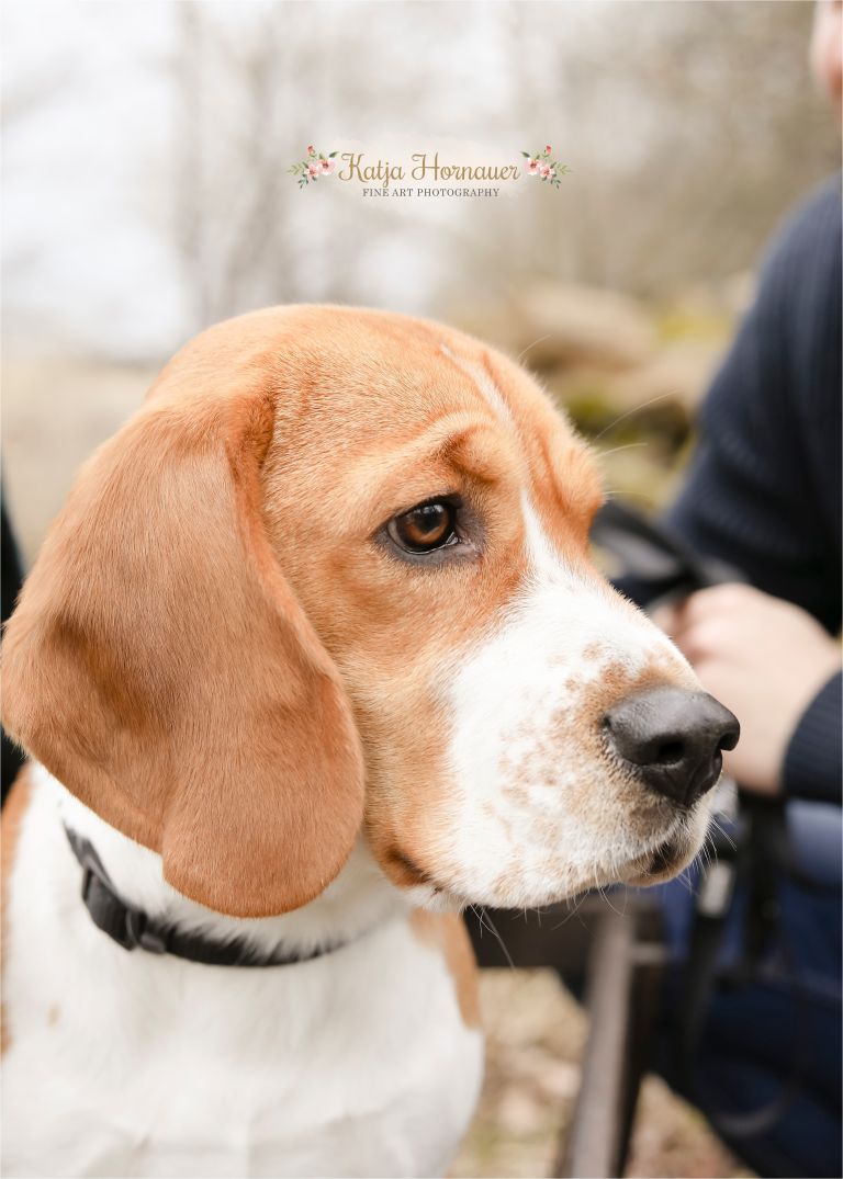 2017-02-21_0005 Kopie