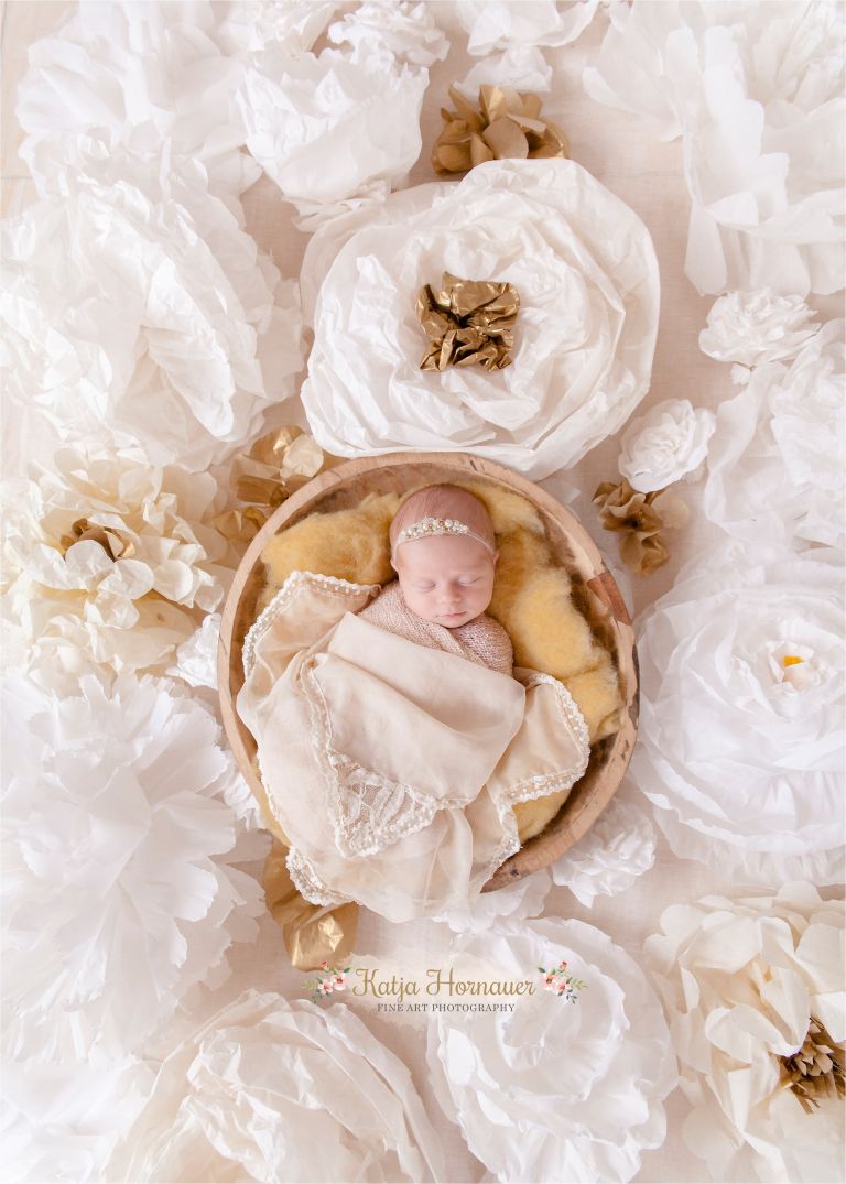 2017-01-10_0003 Kopie