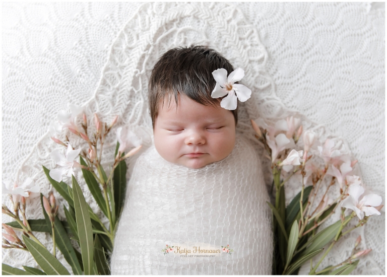 2017-08-01_0004 Kopie