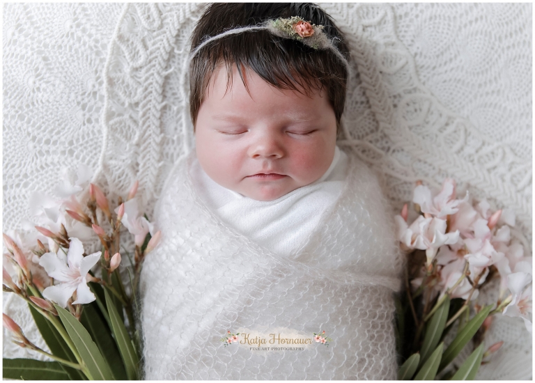 2017-08-01_0009 Kopie