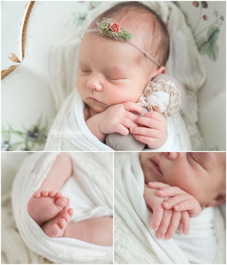 2017-11-11_0003 Kopie